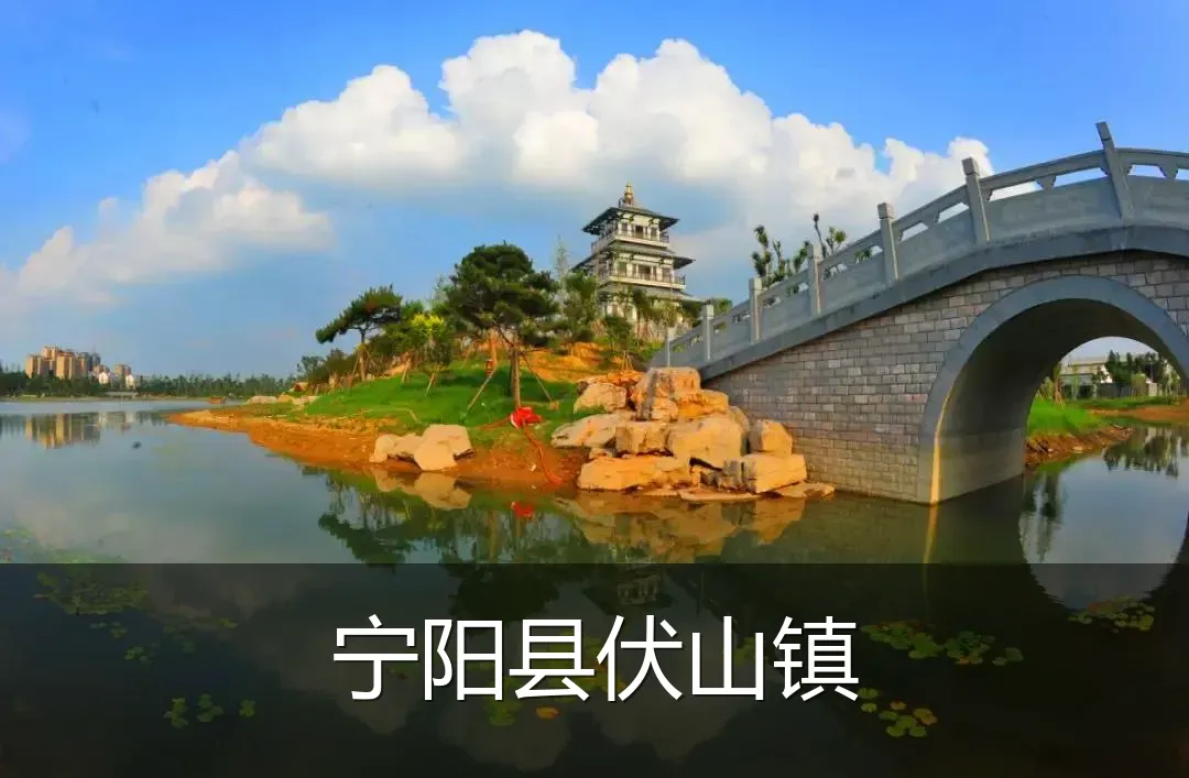 宁阳县伏山镇