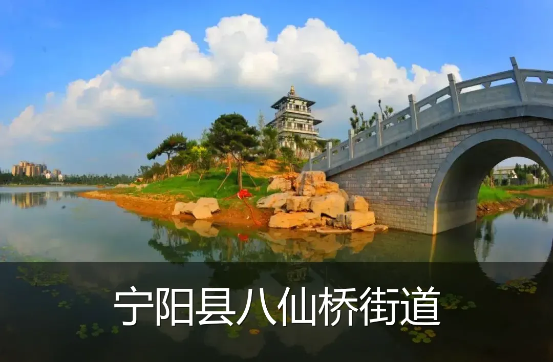 宁阳县八仙桥街道